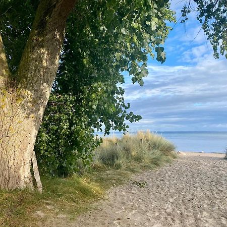 Feriendorf Suedstrand Haus 40 Pelzerhaken Luaran gambar