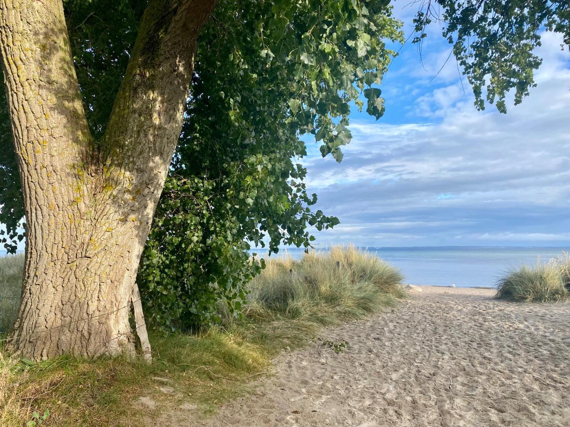 Feriendorf Suedstrand Haus 40 Pelzerhaken Luaran gambar